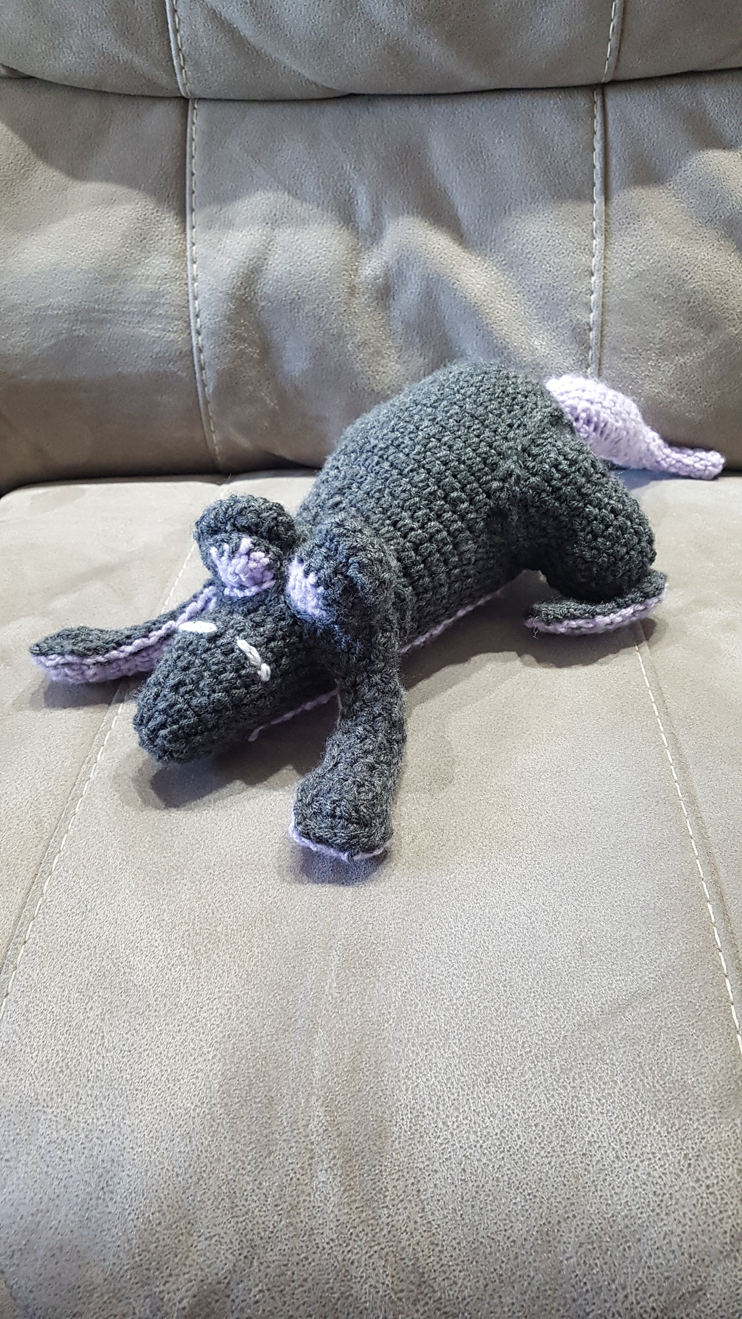 Rat