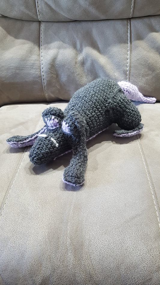 Rat