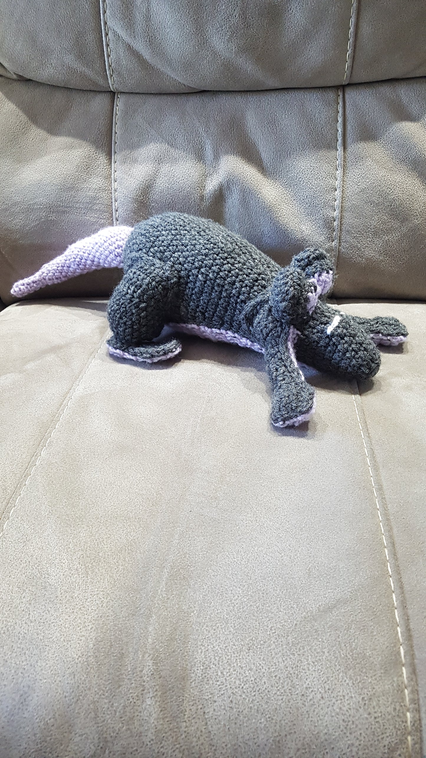 Rat