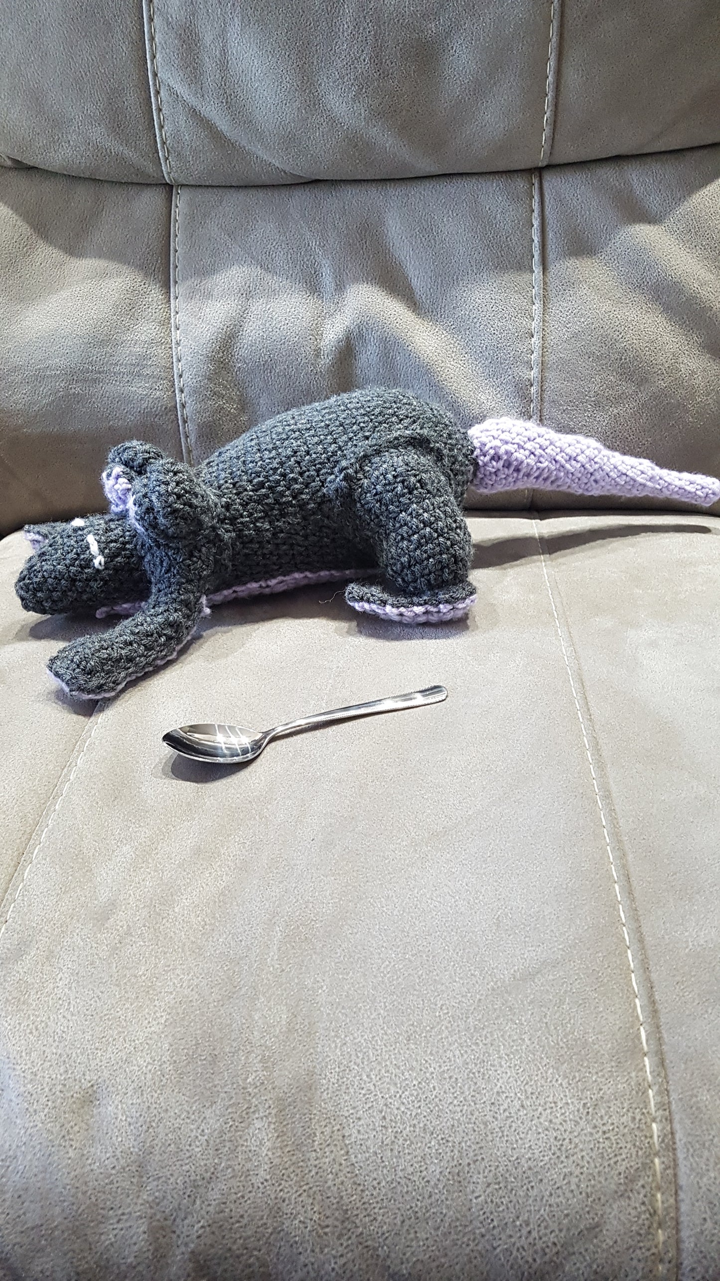 Rat
