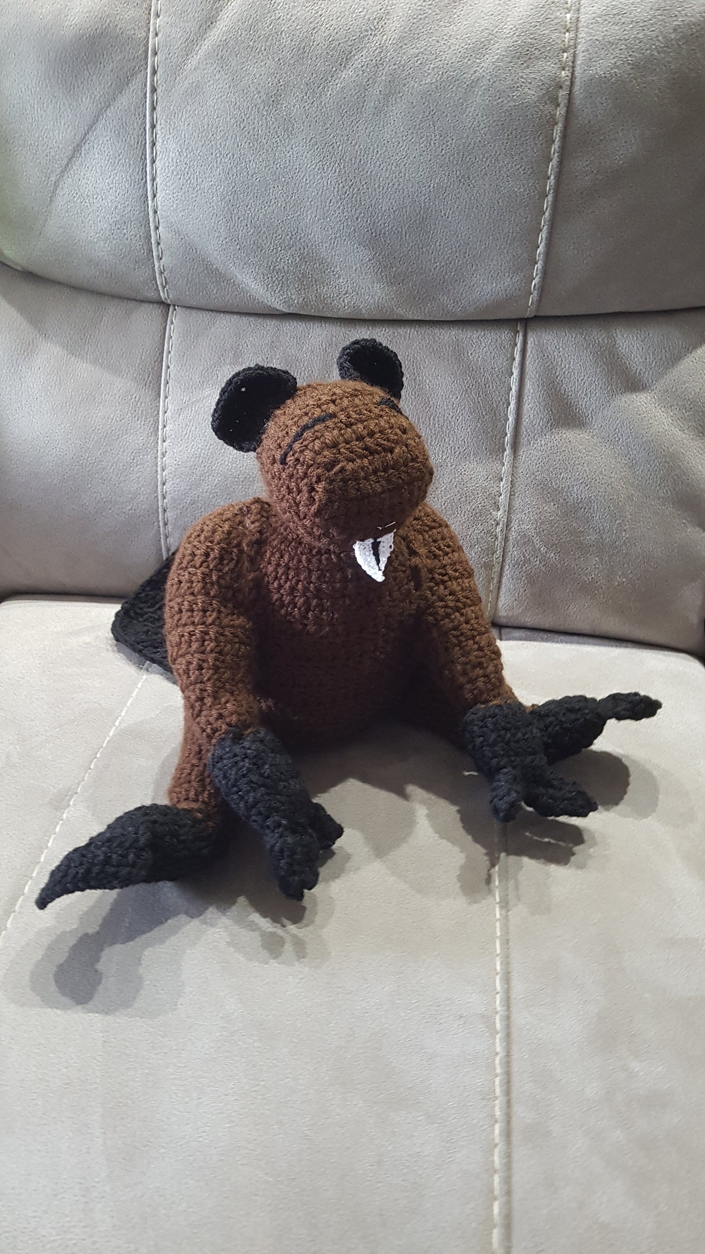 Beaver