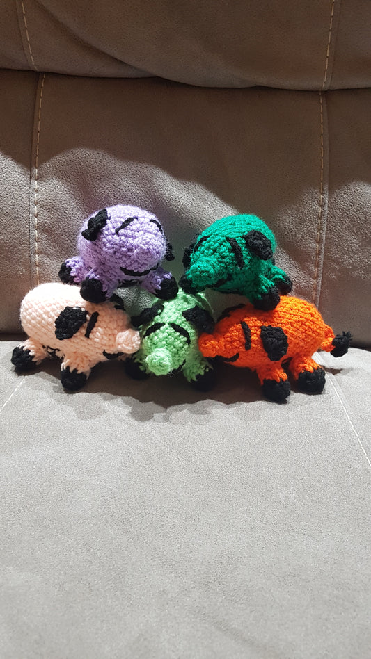 Mini Pigs